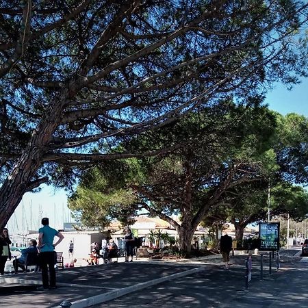 Le Jardin De La Plage - Linges Inclus ラ・ロンド・レ・モール エクステリア 写真