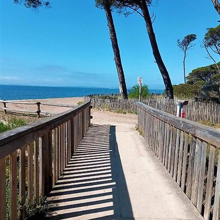 Le Jardin De La Plage - Linges Inclus ラ・ロンド・レ・モール エクステリア 写真