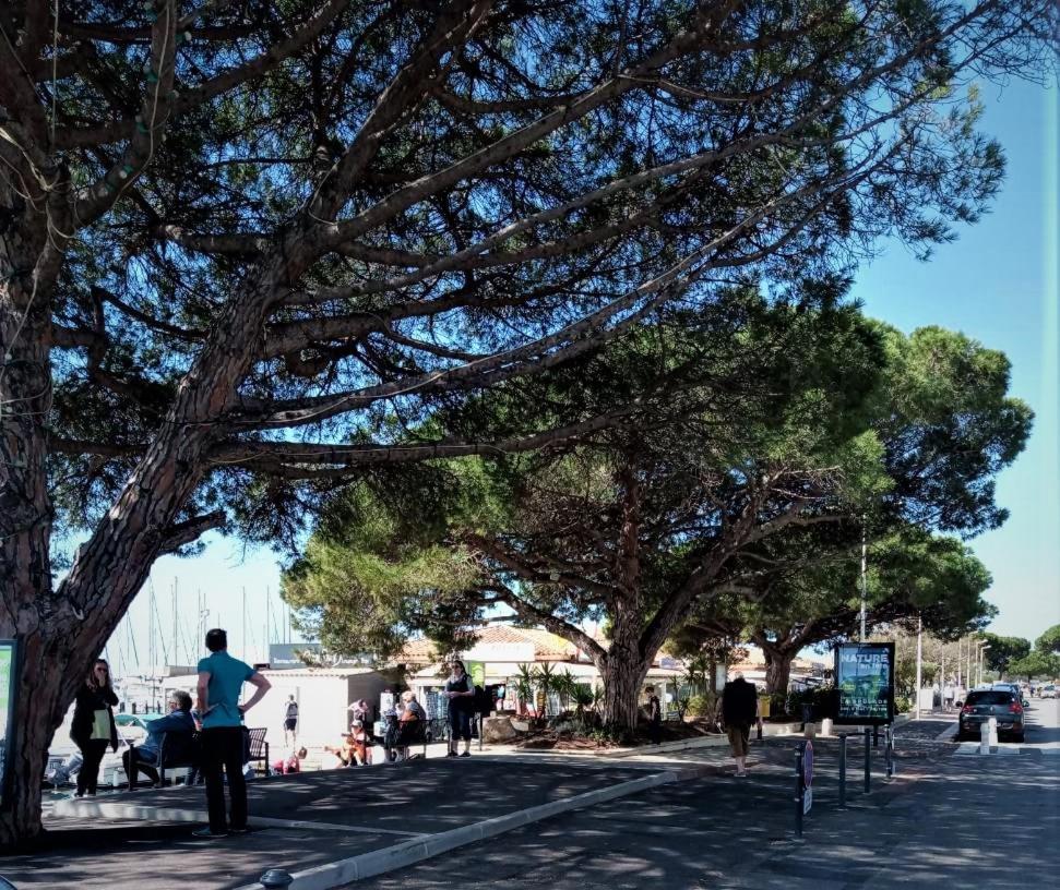 Le Jardin De La Plage - Linges Inclus ラ・ロンド・レ・モール エクステリア 写真
